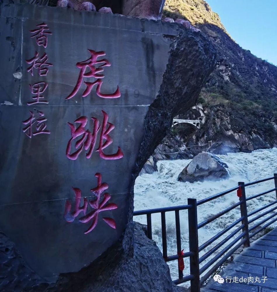 探索山药是祛湿的还是助湿的?,发现无限乐趣