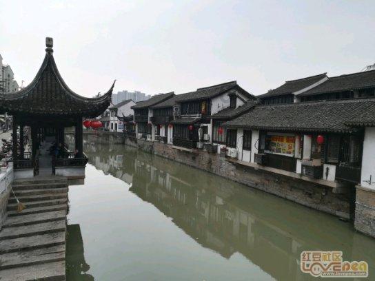 春雨直播app